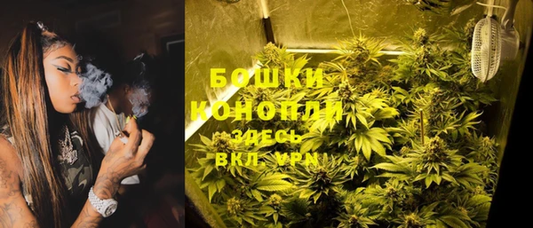 дурь Пестово