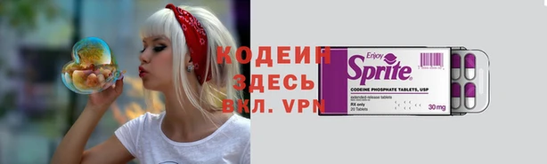 дурь Пестово