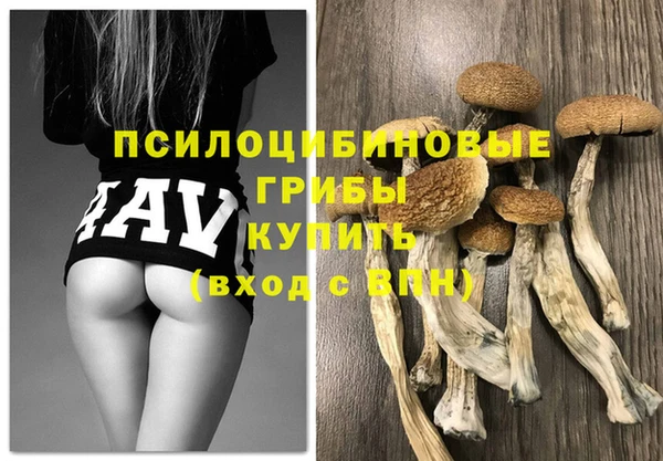 трава Аркадак