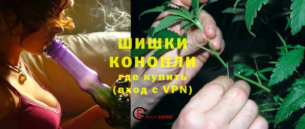 трава Аркадак