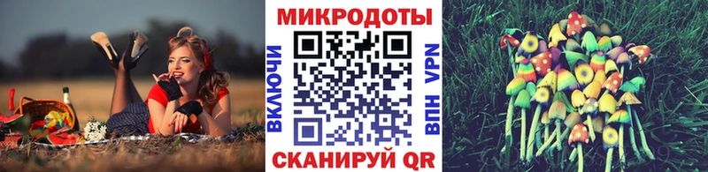 Псилоцибиновые грибы GOLDEN TEACHER  где найти наркотики  мега рабочий сайт  Хилок 